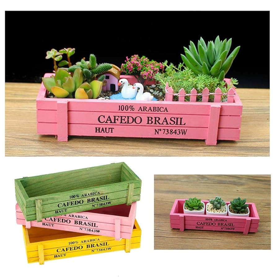 多肉植物　寄せ植え　宝箱 部屋や庭のアクセントに！宝箱を使って多肉植物の寄せ植えを作り